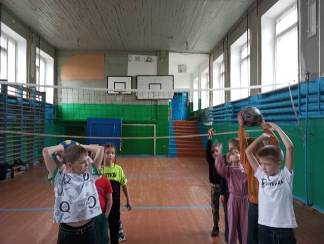 vesel start 2